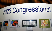 Congressional Art Awards, Workshop and Exhibit 2023