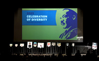 Celebration of Diversity Awards 2023