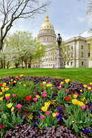 Capitol Ground