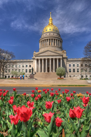 Tulips bloom in front of the State Capitol.