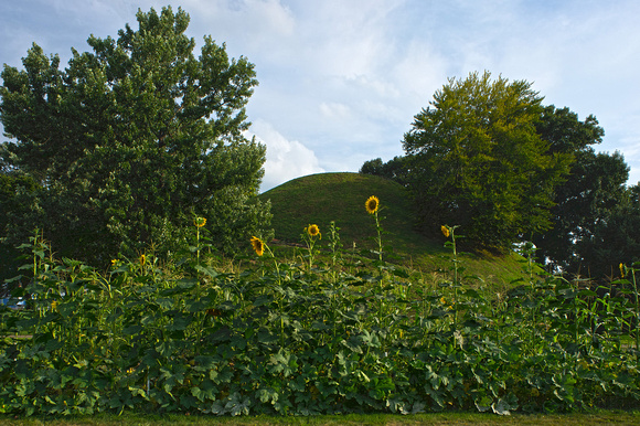 Garden Mound