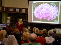 "History of a Loudon Heights Garden Club and Neighborhood-Revisited," with Pam Harvit, February 2, 2016